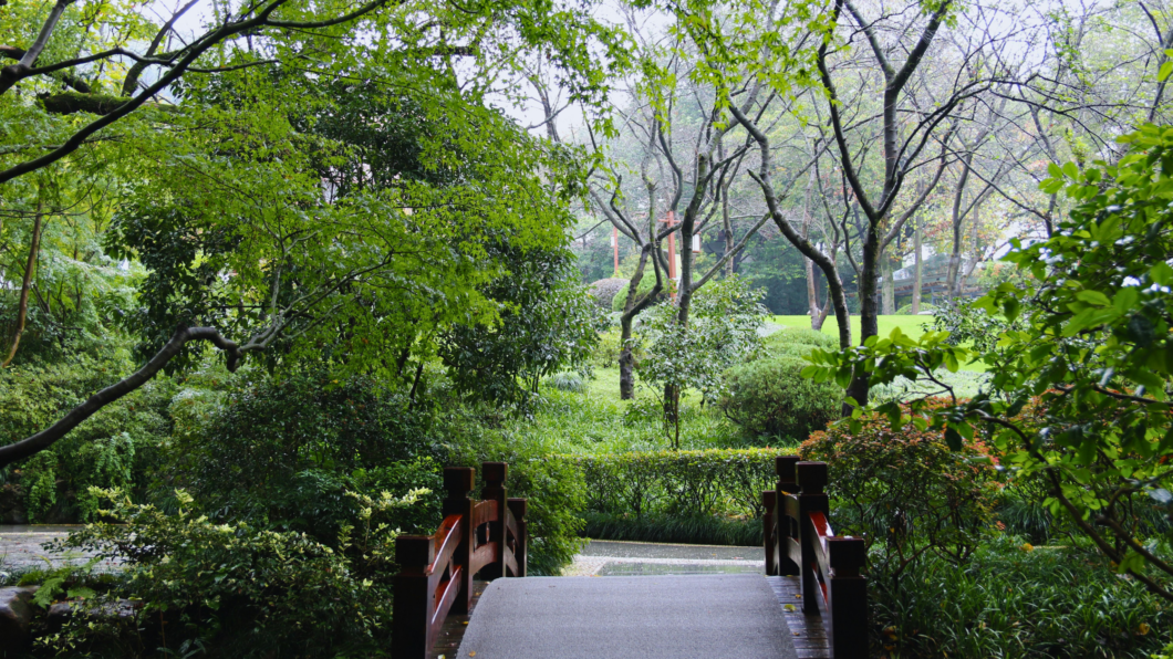 a wooden bridge walkway surrounded by trees