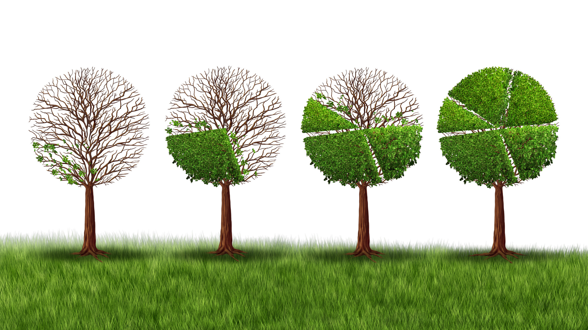 Reclaiming Your Life: The Path to Healing