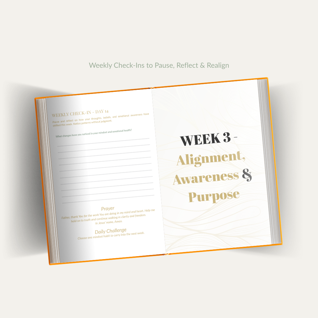 a spread of the interior pages showing the layout for the weekly check-ins